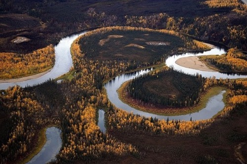 Oxbow LakeWinding its way across a floodplain in the Alaskan Kanuti National Wildlife Refuge, the Ka