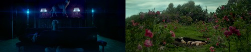 10/31/16: The Neon Demon (Nicolas Winding Refn, 2016)