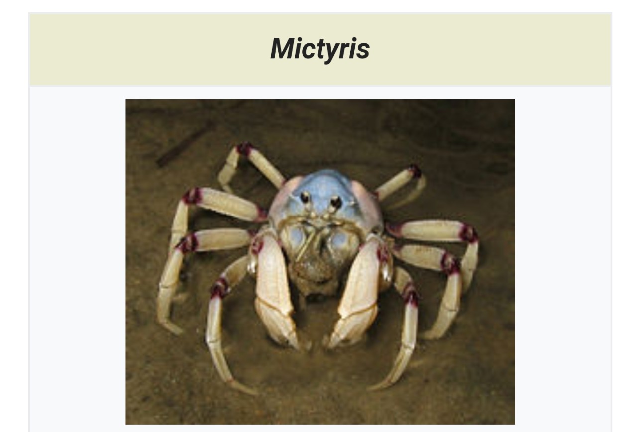 the-real-numbers:  the-real-numbers:   So I was looking up a certain kind of cellular