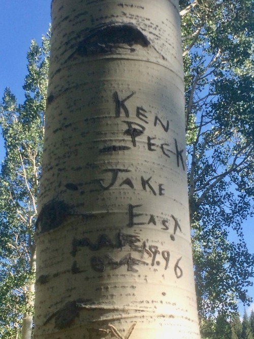 trainthief: “Ken Peck + Jake East MADE LOVE: 1996″The only tree carving I ever liked