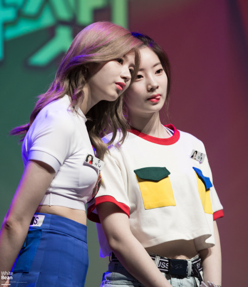 team-twice:     © white bean | do not edit.  