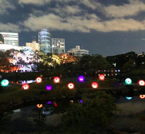 ＼おにわさん更新情報／ ‪[ 東京都港区 ] 旧芝離宮恩賜庭園（ライトアップ） Kyu-Shibarikyu Garden(in Night), Minato-ku, Tokyo の写真・記事を更新し