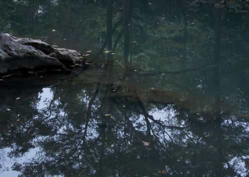 fuckyeahchinesegarden:Klippe Ling Yin, Hangzhou, China