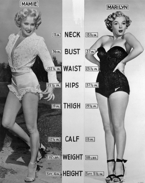 retrogasm:  A Retrogasm 5th Birthday celebration of popular posts #14 Mamie Vs. Marilyn