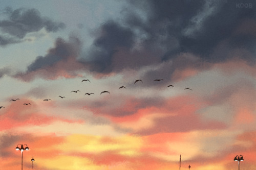 sky studies