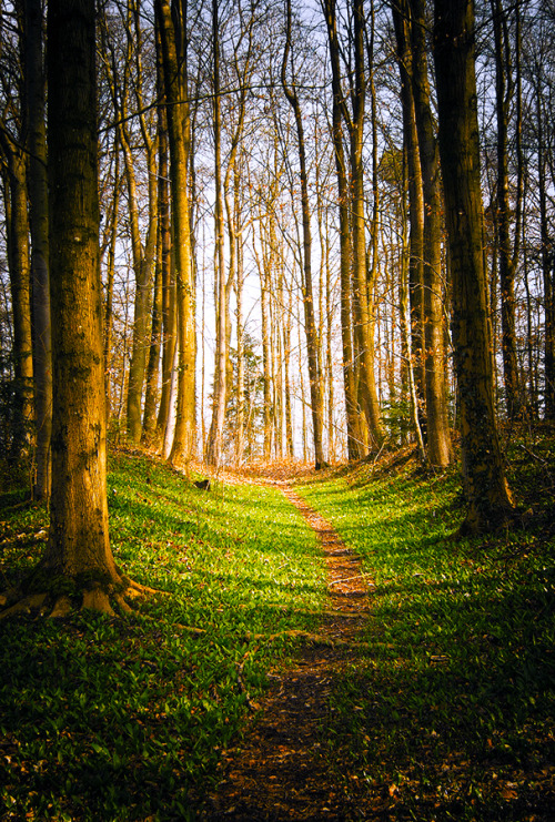 Beautiful Natural Scenery