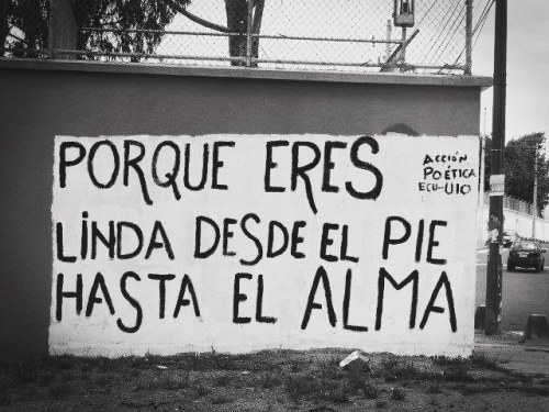 somospoesia: Toda linda #accionpoetica #Ecuador