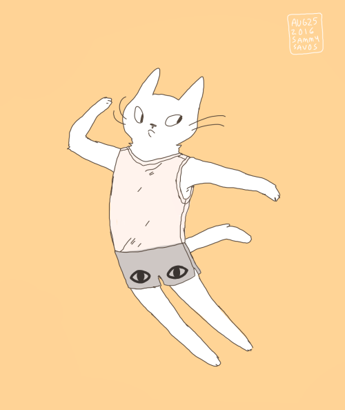 a cat wearing my outfit today