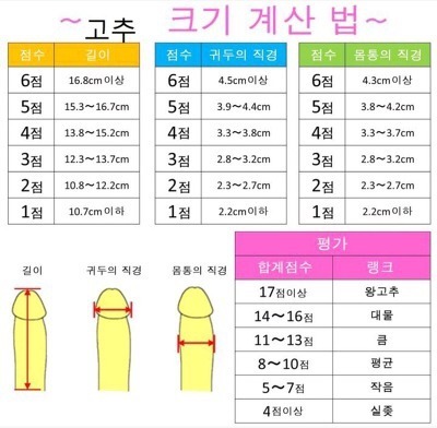wnsxordld:  our98happy:  ppopppoo:  이런게 있길래 첨으로 자로 재보았담
