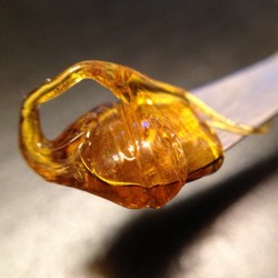 errld:  Happy #Shatterday! Here’s some