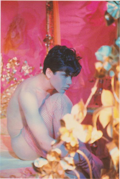 diabeticlesbian: Selected works from gay photographer James Bidgood as featured in his Taschen Postc