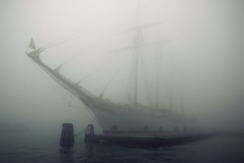 grim-aesthetics: ❈ Grim Aesthetics ❈