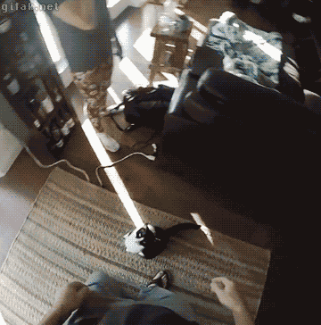 gif-guy:  Other Funny Gifs http://gif-guy.tumblr.com/