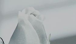 mathewdaddario:We all have one enemy, and that’s President Snow. He corrupts everyone and everything
