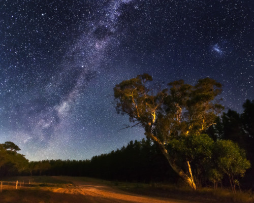 Gum stars by Dylan Toh & Marianne Lim