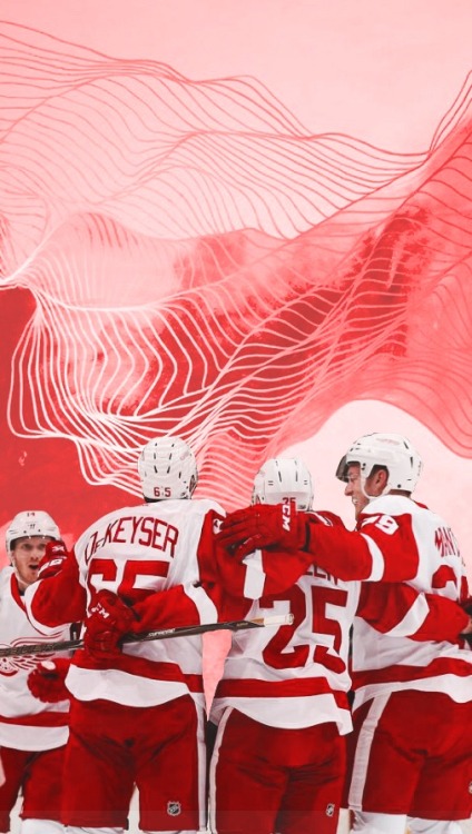 Detroit Red Wings /requested by anonymous/