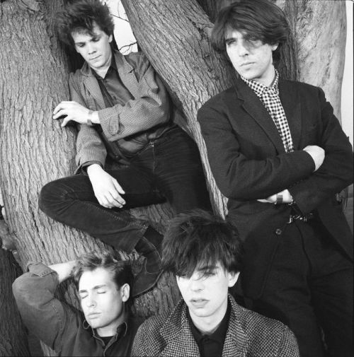 psychodollyuniverse:Echo and The Bunnymen - Crocodile - 1980, Heaven Up Here- 1981 , Porcupine - 198