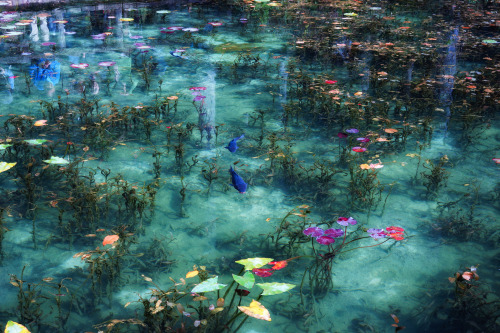 redlipstickresurrected:AFLO CO.LTD./Alamy - Monet’s Pond located in Seki City, Gifu Prefecture, Japa
