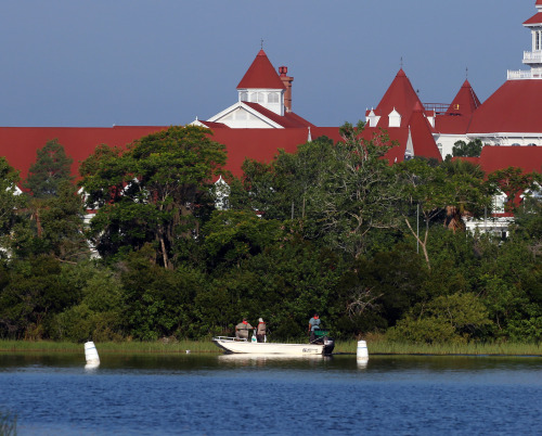 nbcnightlynews: 2-year-old boy dragged into water by alligator near Disney. All beaches, ferry boats