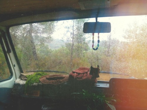 3rdquartermoon: cosmofilius: drizzles and forest snuggles :) -