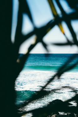 kallelundholm:  (via Kalle Lundholm Photography - My life in photos - BURLEIGH HEADS DELIGHT)