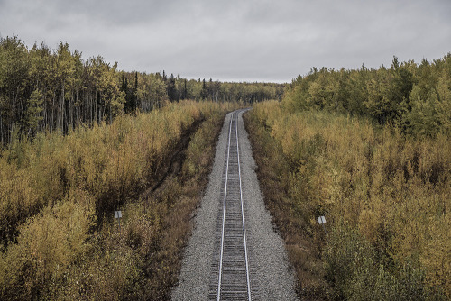 Missing Alaska. Missing no one for miles and minutes, for wooden shacks unassuming and freezing limb