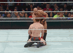 wrasslormonkey:  What could possibly go wrong? (by @WrasslorMonkey)