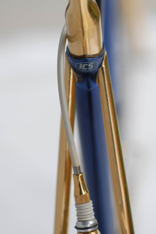 bikeplanet:  ICS-Italy Cicli Systems Exclusive Bike Gold Plated Campagnolo Recordby Velo Aficionado