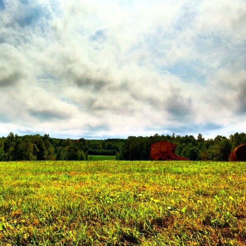 Taking a break and lying down in a field off the Birkebeiner Trail. #trailrunning