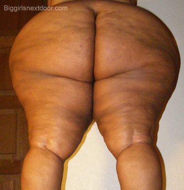 bigblkman99:  lovethembigandthick:  bbwasshole:  blacksupersizedasses:  Ms. Backyard