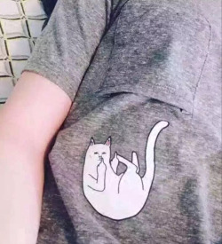 ourspringisbeautiful:    Cat Dropped Out Of Pocket   