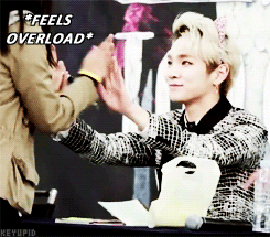  An accurate representation of what any other shawol’s/locket’s reaction would have been. 
