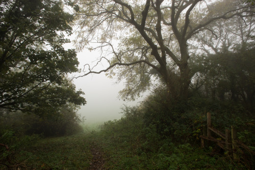 Crossing by Edd Allen