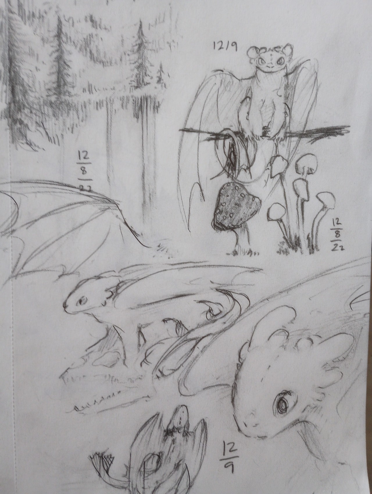 Buy Charcoal Toothless Drawing How to Train Your Dragon Online in India   Etsy