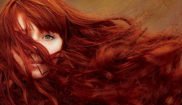 zaporn:  At Pinterest  (imagem) *** by Ann Nevreva on 500px 