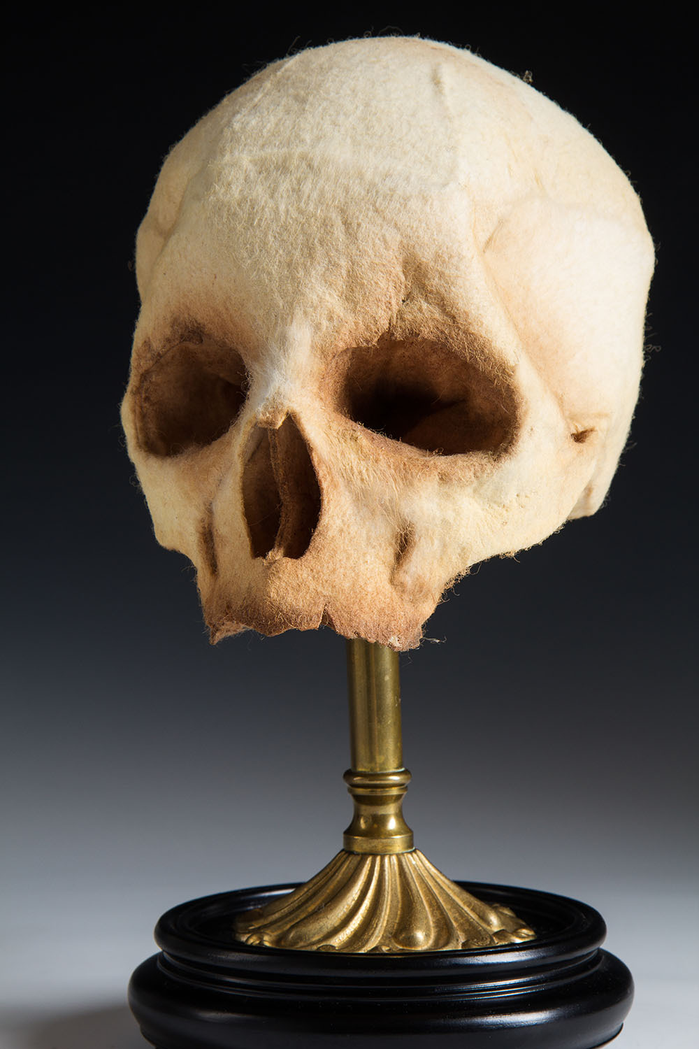 itscolossal:  New Anatomical Specimens Made from Hand-Dyed Wool and Silk by Lana