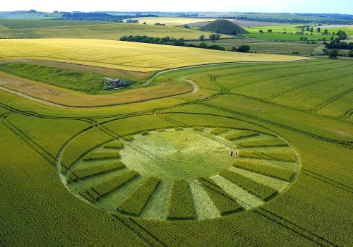 vraieronique: L’ Art, aussi, est dans le pré ..!