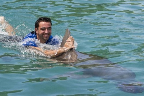 DOLPHIN KISSES! 😘 🐬 