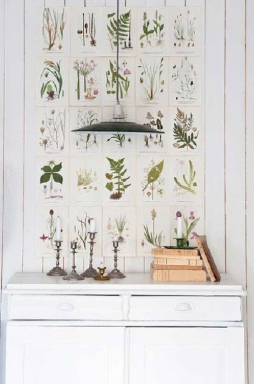 botanical prints