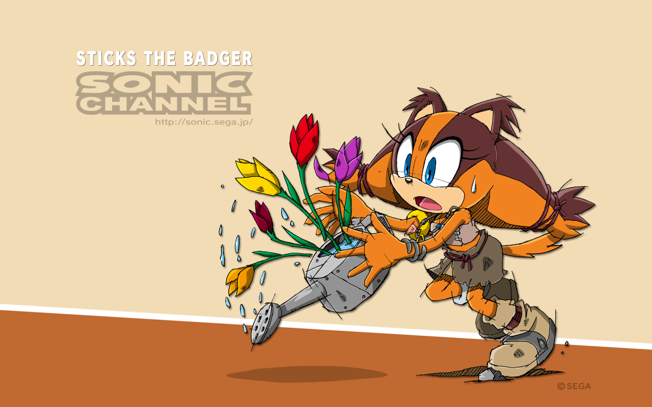 Sonic Meets Sticks the Badger