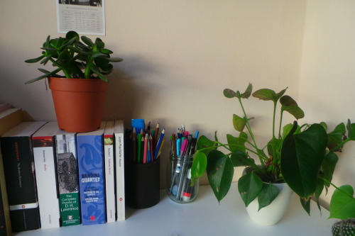 plantare:take me to the haven of your bed
