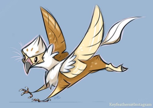 Lunch sketch # 2 ! #lunchsketch #hippogriff #hippogryph #cute #keyfeathers www.instagram.com