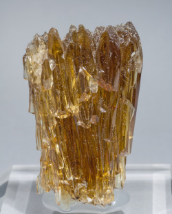 bijoux-et-mineraux:  Aragonite - Guangxi Zhuang Autonomous Region, China 