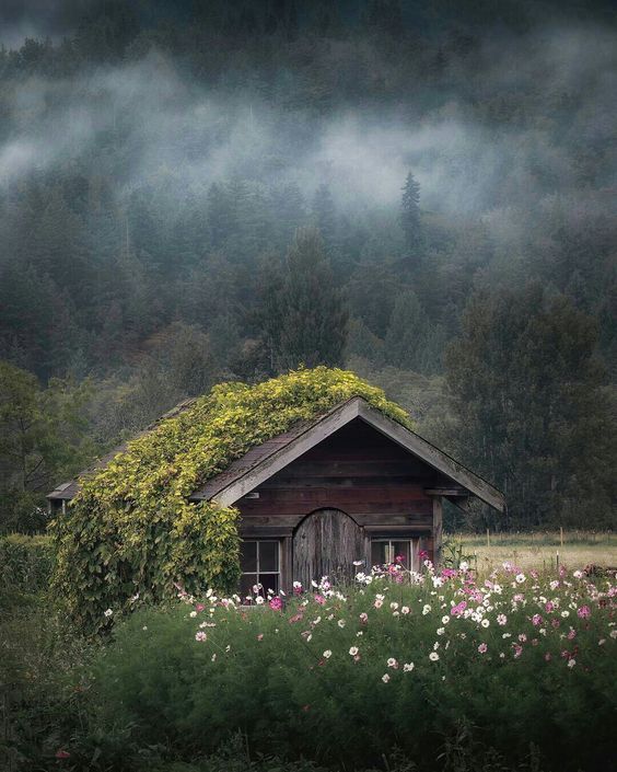 saxiquine:  alrauna: ©Peter Lundqvist (@peterlundqvist)     Perfect getaway for