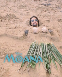 linsmiranda: wow moana looks so good!! 