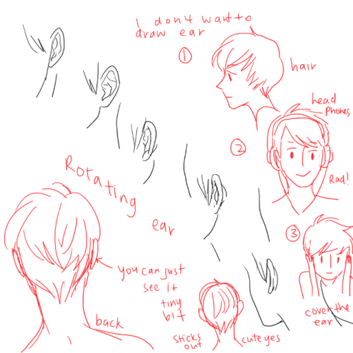 kelpls:UMM PEOPLE ASKED ABOUT NOSES AND EARS SO YEAH!!  please look up real references too don’t jus