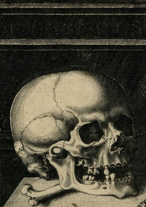 Vanitas (Detail / c.1550-70 / Etching) - Hieronymus Cock 