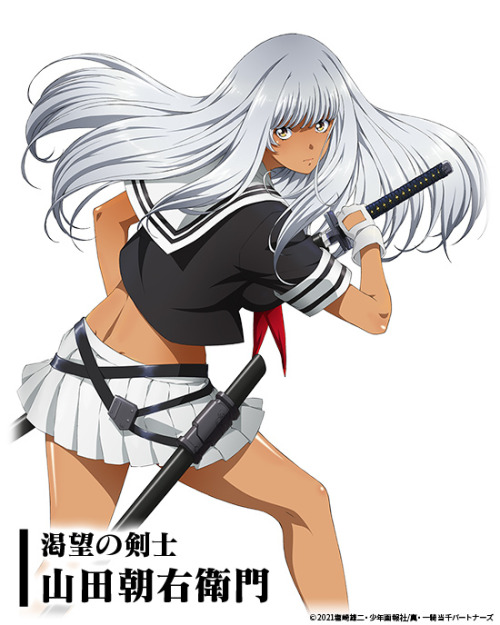 shin ikkitousen