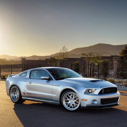 It's not just a car, it's a lifestyle!
