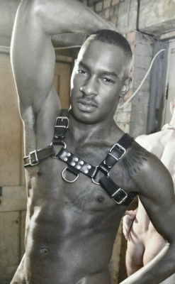 Black Muscle Ink Leather Kink